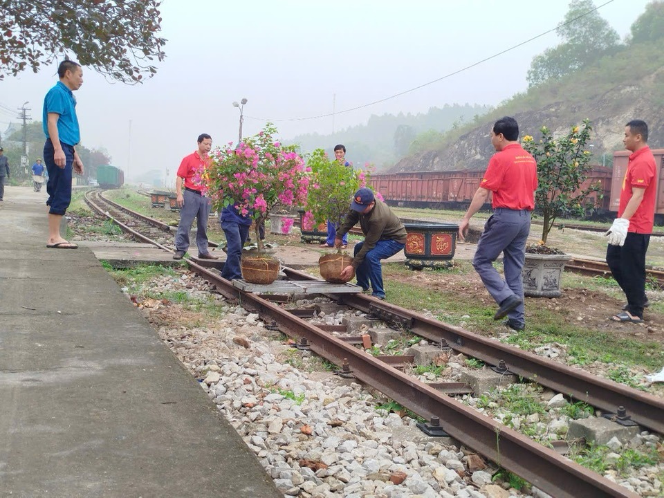 Khu Ga Cầu Giát hưởng ứng phong trào Tết trồng cây, Đường tàu đường hoa năm 2025