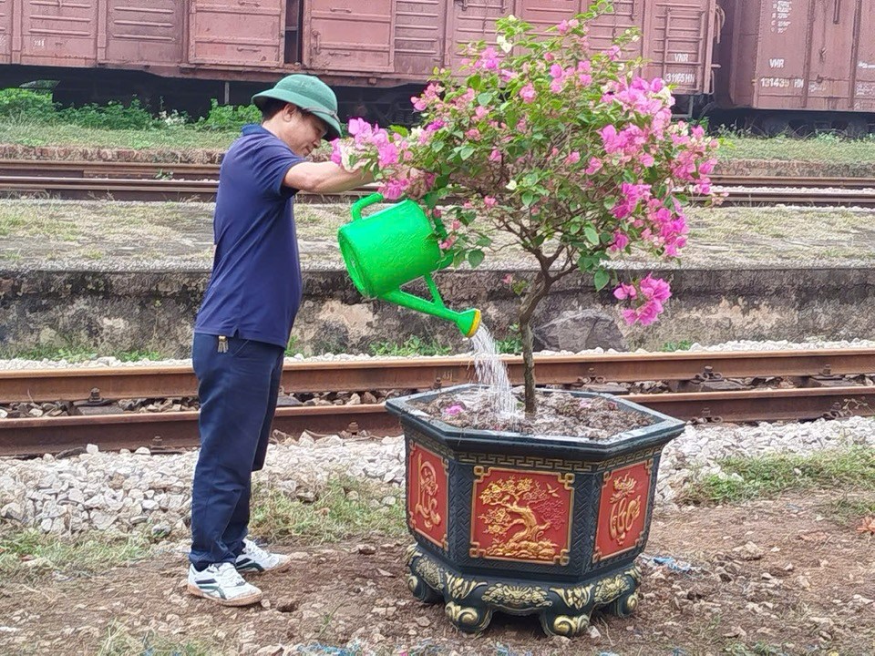 Khu Ga Cầu Giát hưởng ứng phong trào Tết trồng cây, Đường tàu đường hoa năm 2025